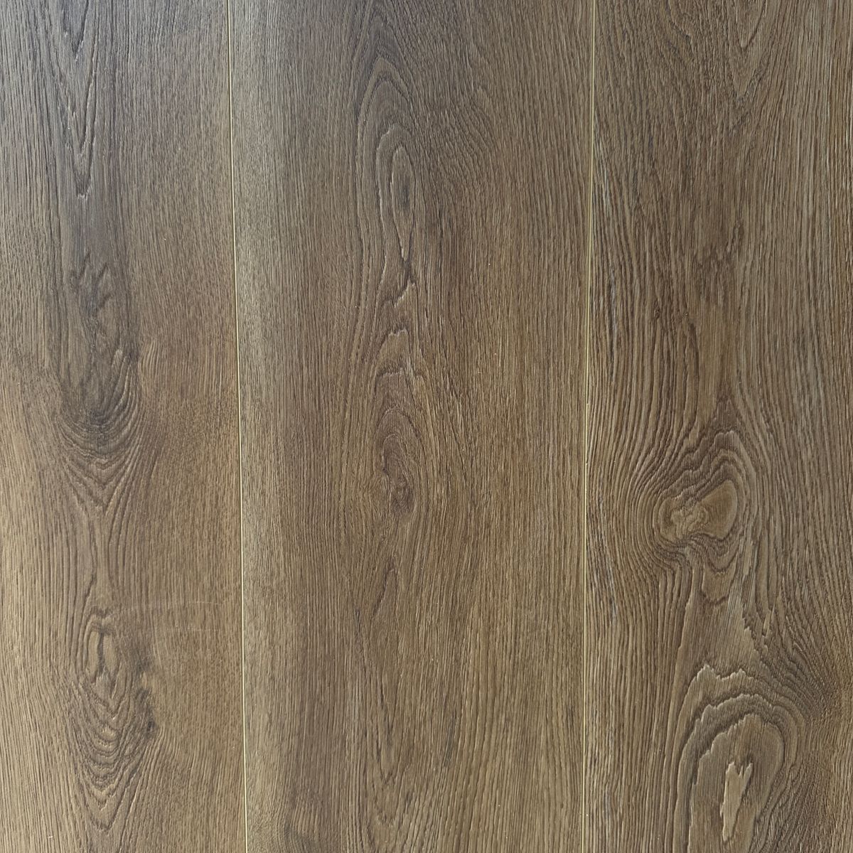 SPC Royal 4943XL-09