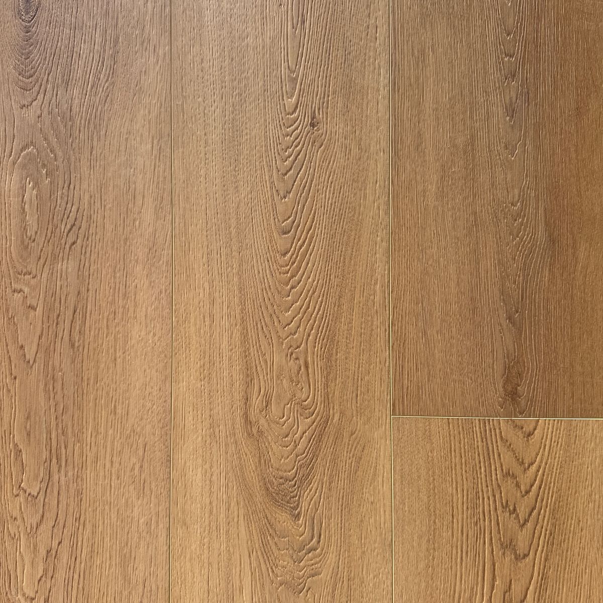SPC Royal 4943XL-08