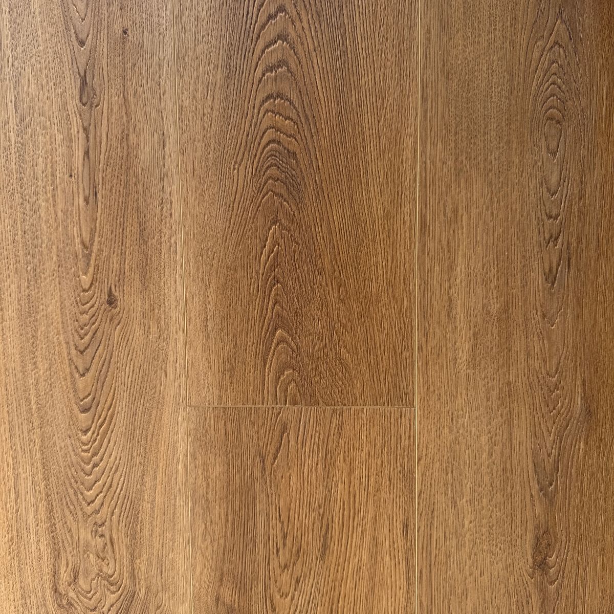 SPC Royal 4943XL-22